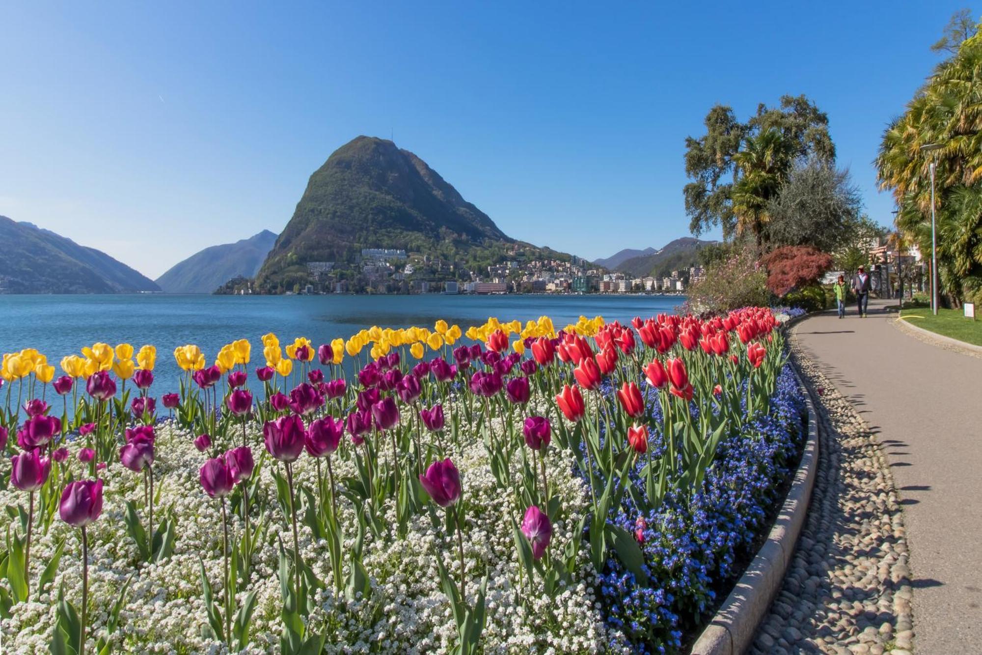 Love Of Lugano - Happy Rentals Екстериор снимка